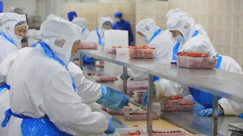 2700萬元專項扶持助力我市小食品生產(chǎn)線升級